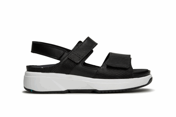 Aruba Black