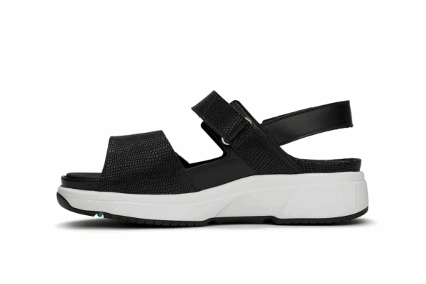 Aruba Black