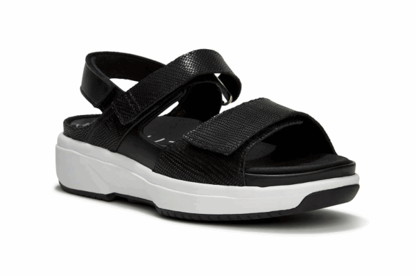 Aruba Black