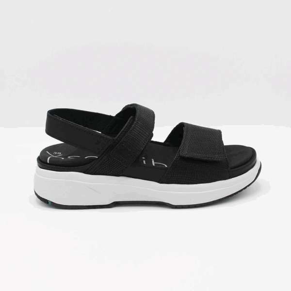 Aruba Black
