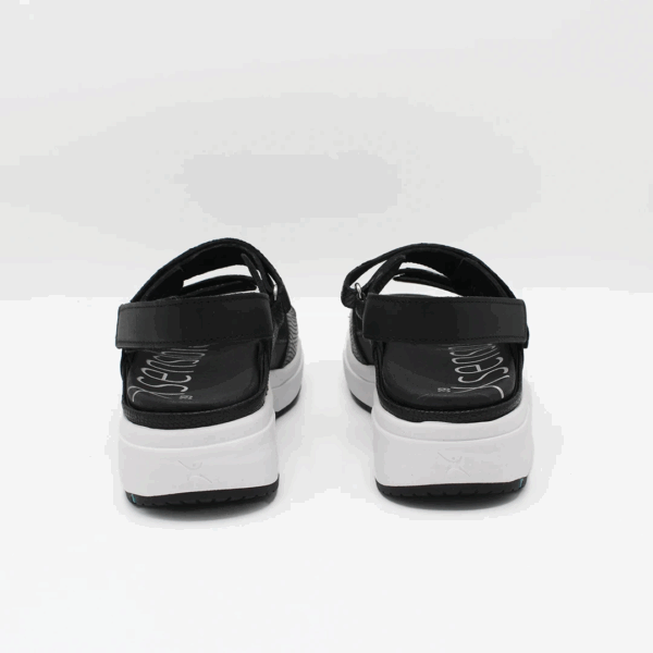 Aruba Black