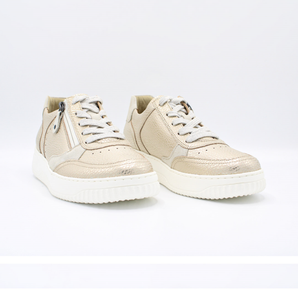 Boogie Shoe Gold-Beige