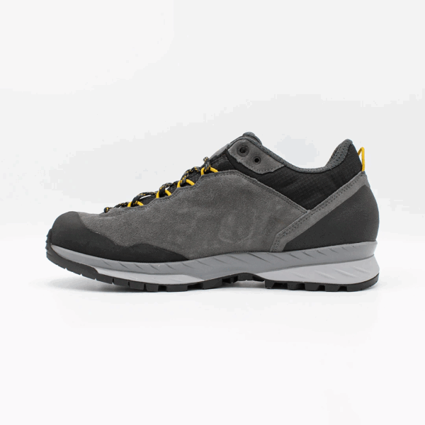Delago GTX Lo asphalt/mango