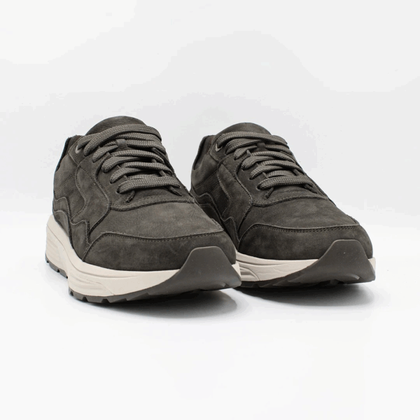 Golden Gate Men Carbon