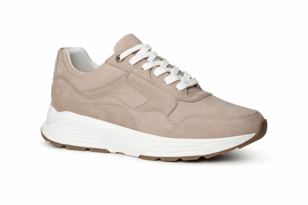 Golden Gate Men Taupe