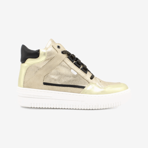 LF2025207