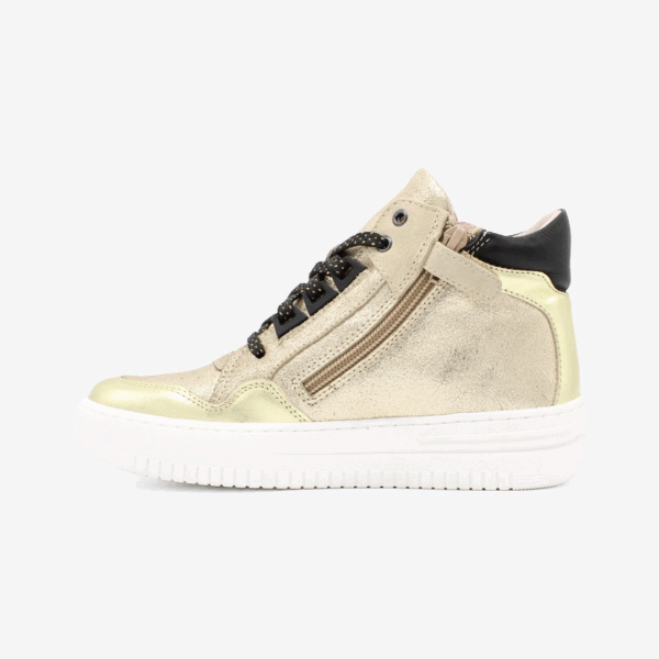 LF2025207