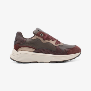 Rainbow Bordeaux Combi