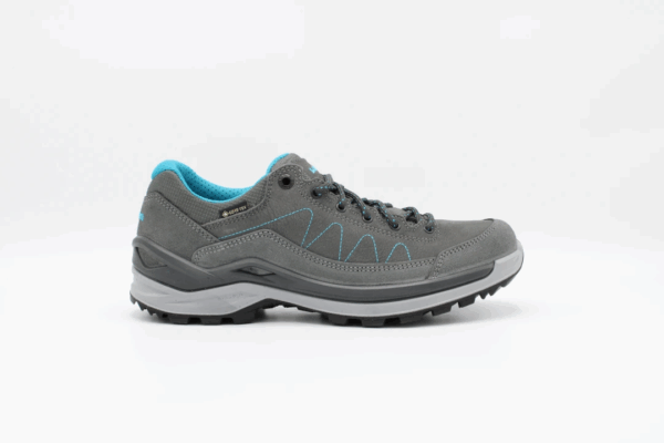 Toro Pro GTX Lo Ws graphite-arctic